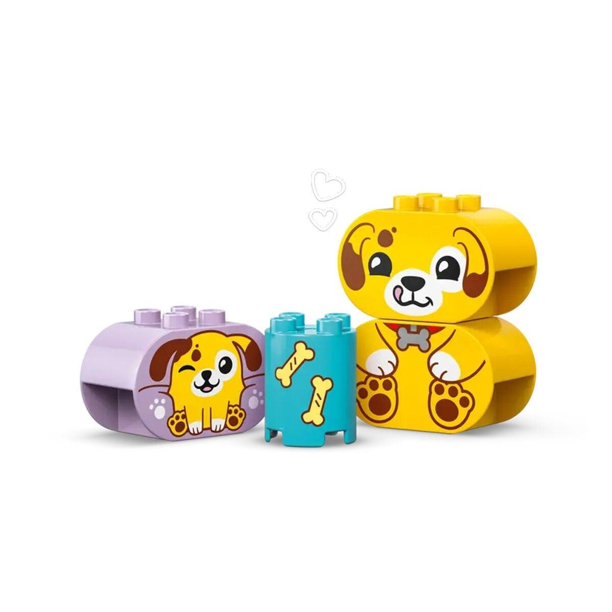 10441 Lego Duplo Bul-Tak Köpek Evi 17 parça +1,2 yaş