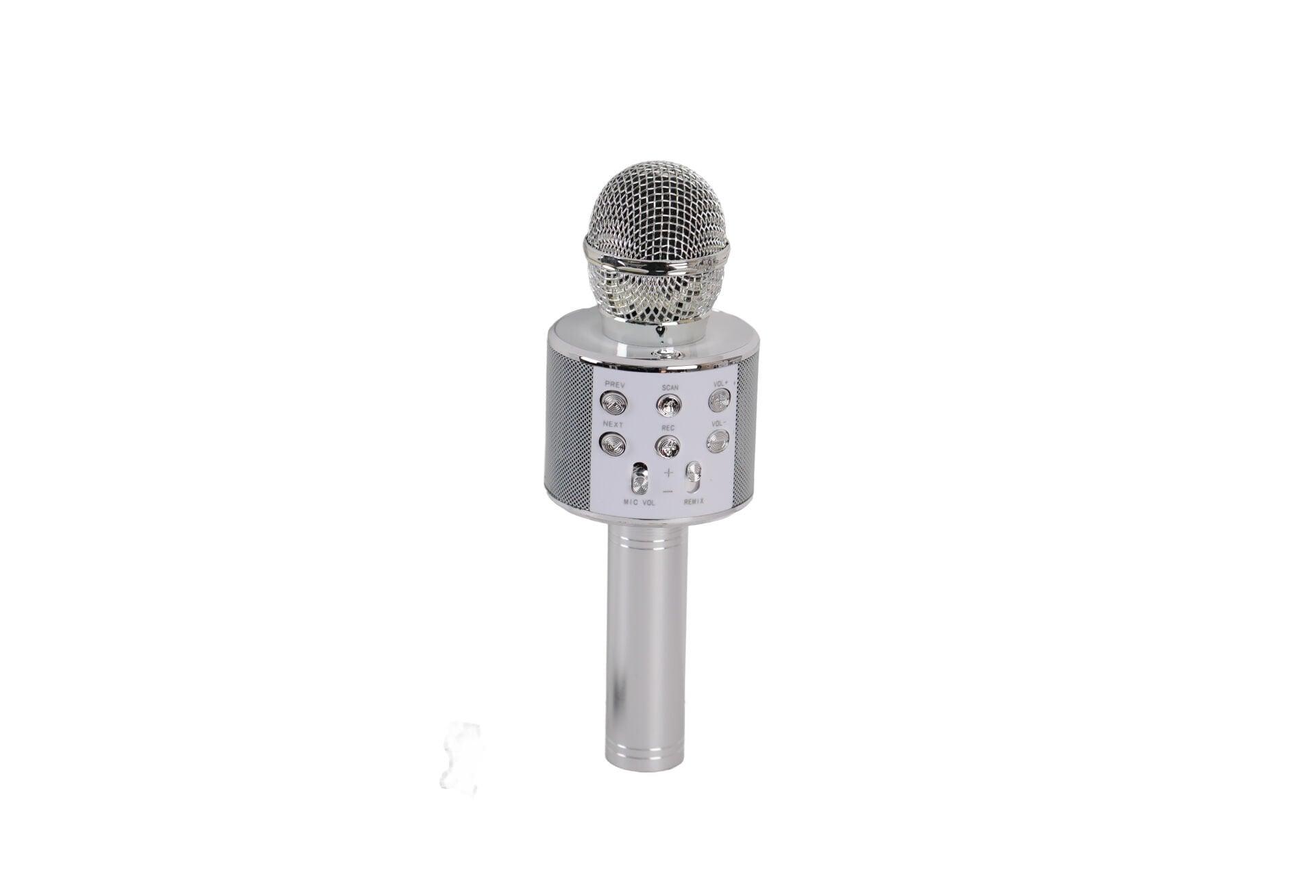 EMR-101 KUTULU KARAOKE MİKROFON