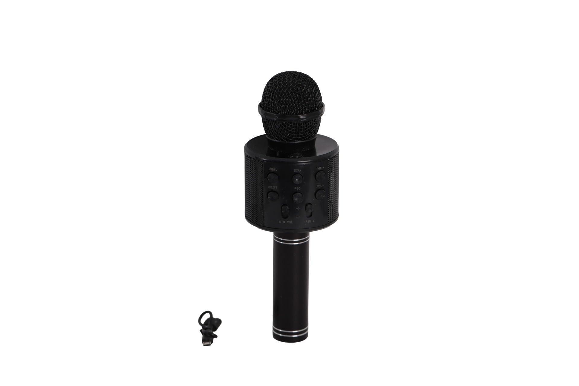 EMR-101 KUTULU KARAOKE MİKROFON