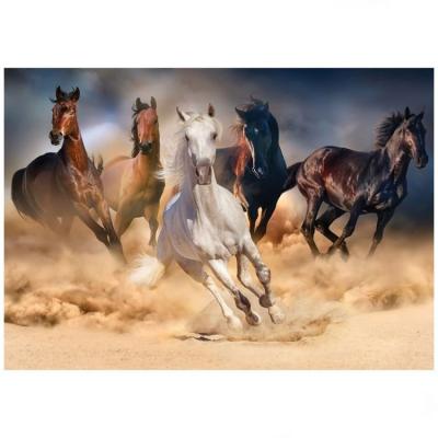 1000 Parça Wild Horses Puzzle