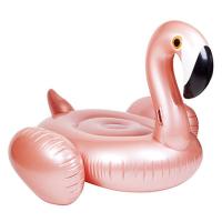 Flamingo Binici