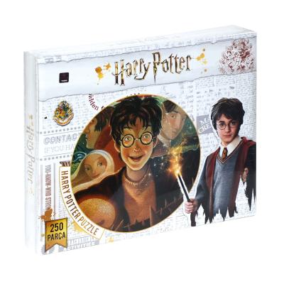 Harry Potter 250 Parça Puzzle