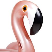 Flamingo Binici